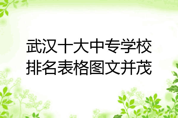 武汉十大中专学校排名表格图文并茂