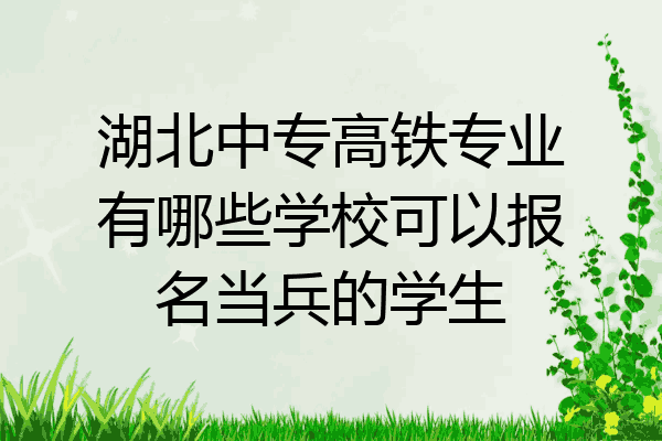 湖北中专高铁专业有哪些学校可以报名当兵的学生
