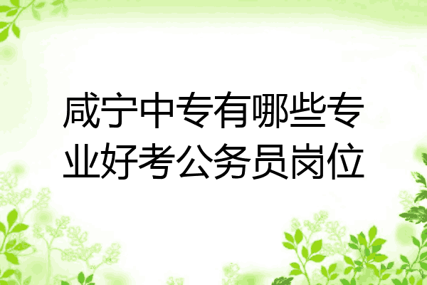 咸宁中专有哪些专业好考公务员岗位