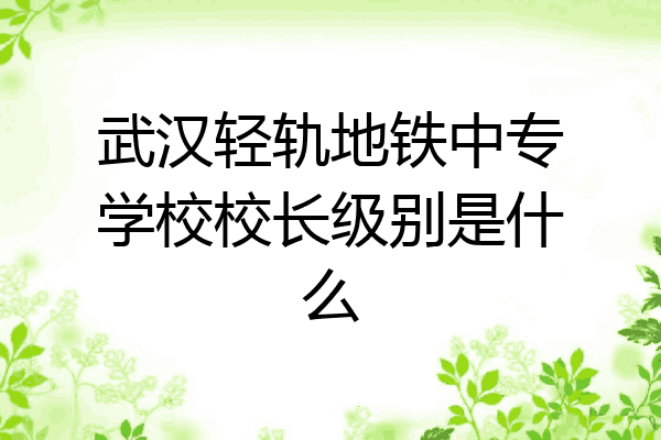 武汉轻轨地铁中专学校校长级别是什么