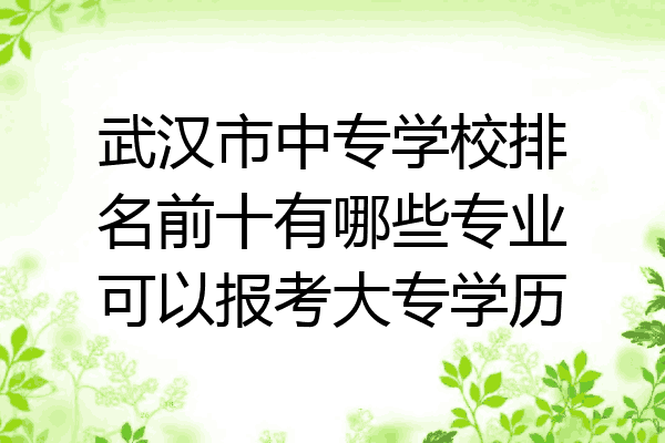 武汉市中专学校排名前十有哪些专业可以报考大专学历