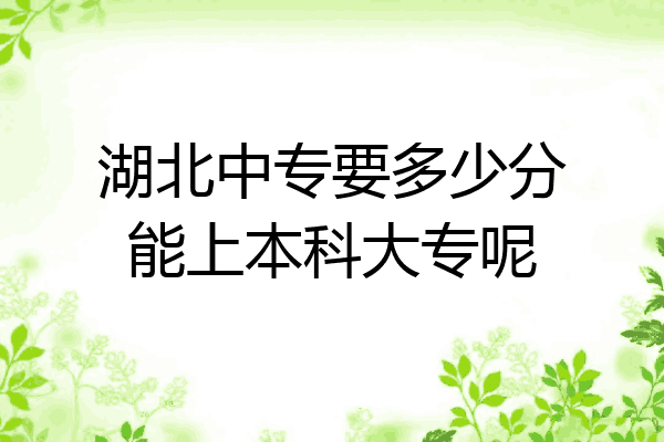 湖北中专要多少分能上本科大专呢