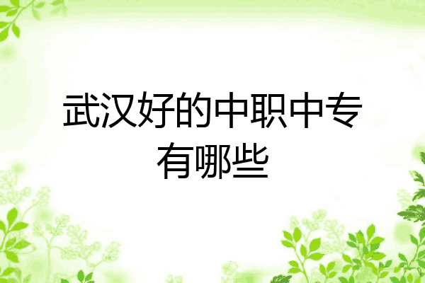 武汉好的中职中专有哪些