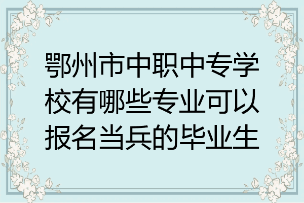 鄂州市中职中专学校有哪些专业可以报名当兵的毕业生