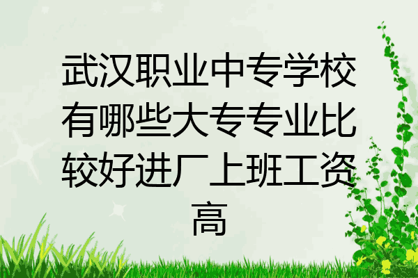 武汉职业中专学校有哪些大专专业比较好进厂上班工资高