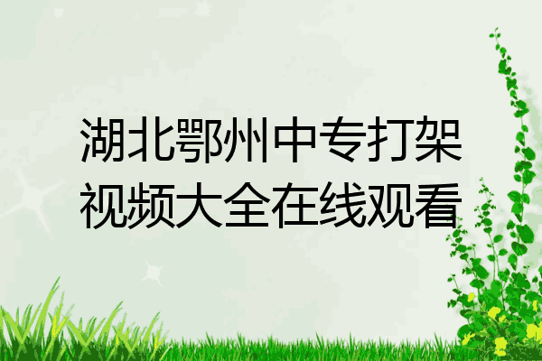 湖北鄂州中专打架视频大全在线观看