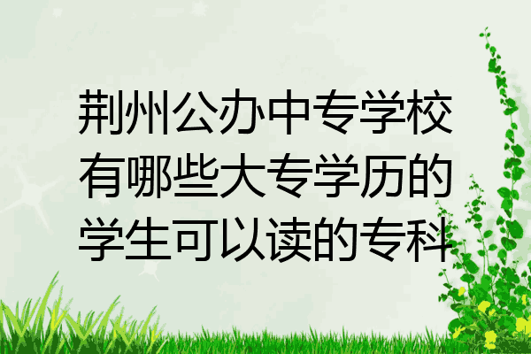 荆州公办中专学校有哪些大专学历的学生可以读的专科