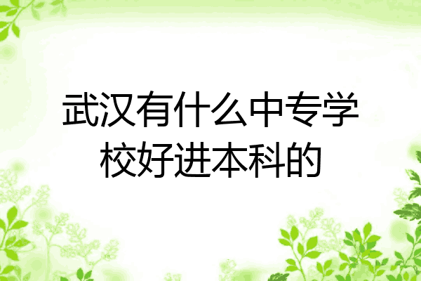 武汉有什么中专学校好进本科的
