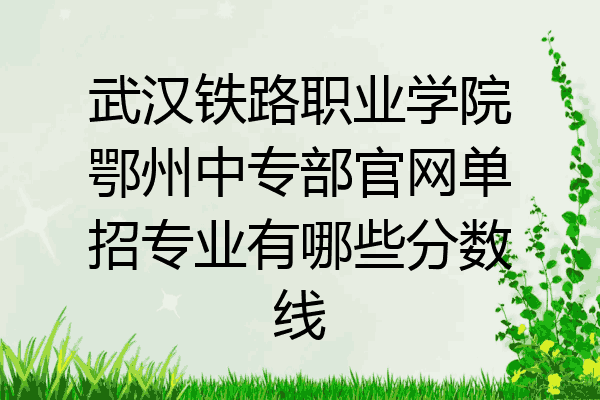 武汉铁路职业学院鄂州中专部官网单招专业有哪些分数线