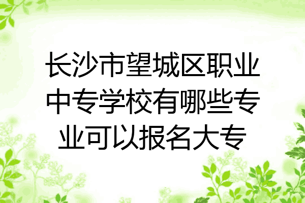 长沙市望城区职业中专学校有哪些专业可以报名大专