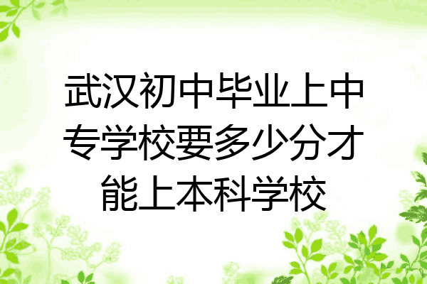 武汉初中毕业上中专学校要多少分才能上本科学校
