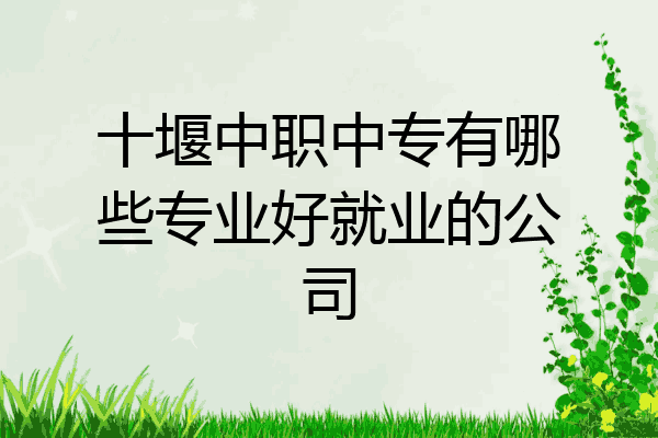十堰中职中专有哪些专业好就业的公司