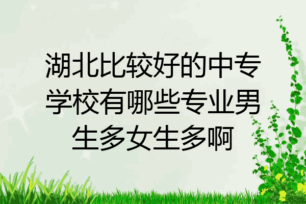 湖北比较好的中专学校有哪些专业男生多女生多啊