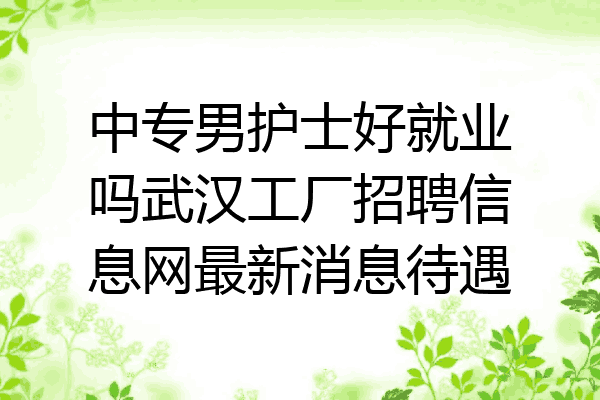 中专男护士好就业吗武汉工厂招聘信息网最新消息待遇