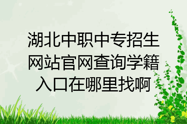 湖北中职中专招生网站官网查询学籍入口在哪里找啊