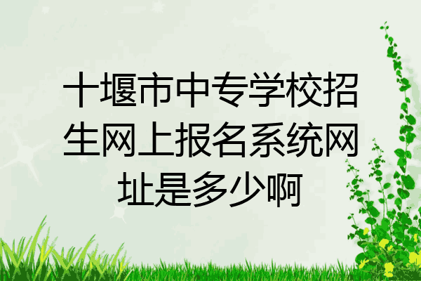 十堰市中专学校招生网上报名系统网址是多少啊