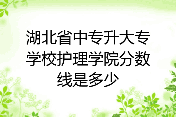 湖北省中专升大专学校护理学院分数线是多少