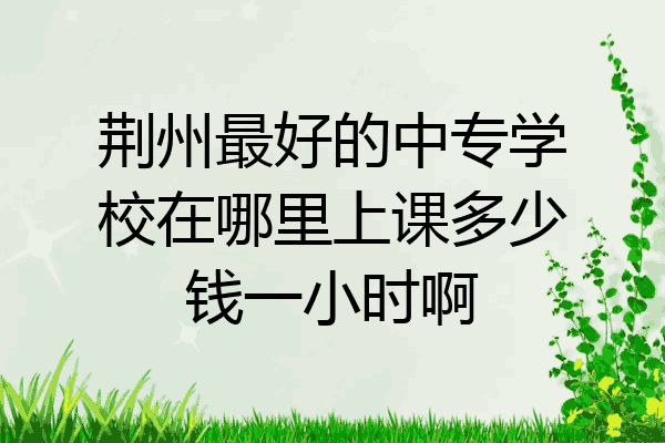 荆州最好的中专学校在哪里上课多少钱一小时啊