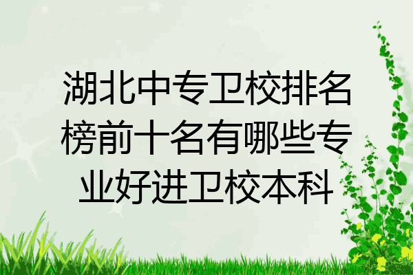 湖北中专卫校排名榜前十名有哪些专业好进卫校本科