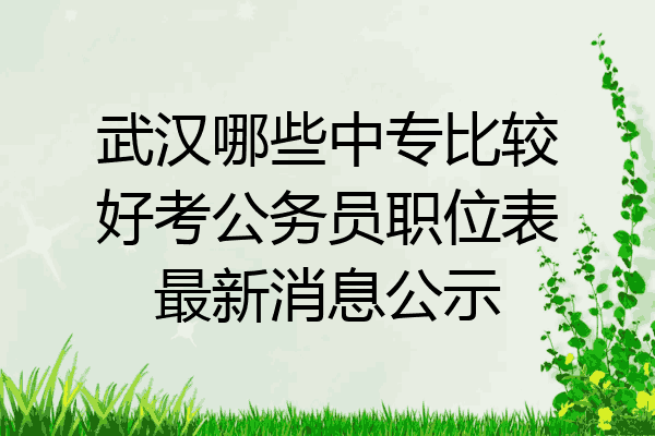 武汉哪些中专比较好考公务员职位表最新消息公示