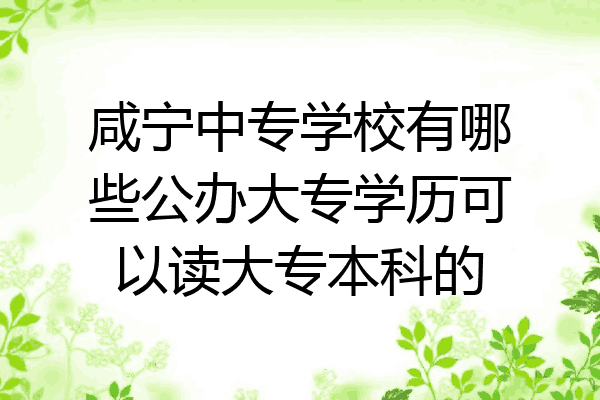 咸宁中专学校有哪些公办大专学历可以读大专本科的