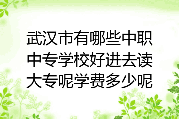 武汉市有哪些中职中专学校好进去读大专呢学费多少呢