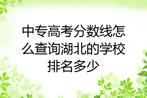 中专高考分数线怎么查询湖北的学校排名多少