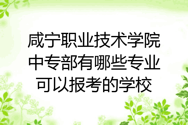 咸宁职业技术学院中专部有哪些专业可以报考的学校