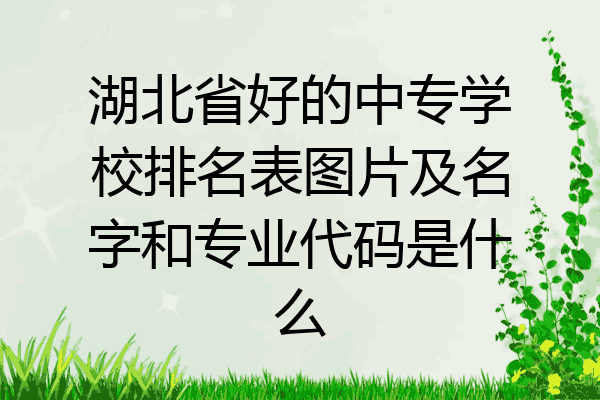 湖北省好的中专学校排名表图片及名字和专业代码是什么