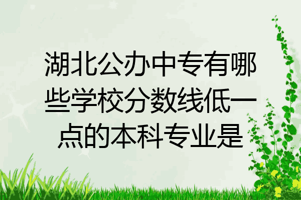 湖北公办中专有哪些学校分数线低一点的本科专业是
