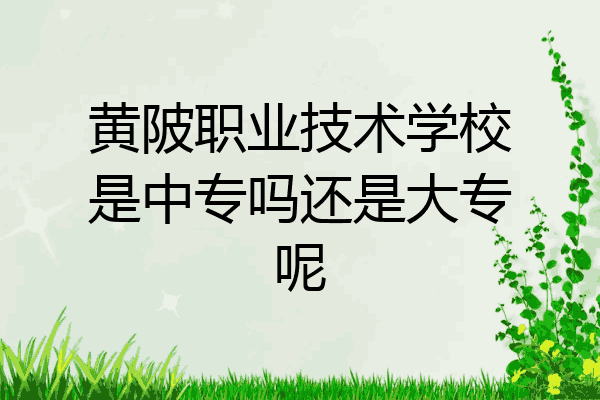 黄陂职业技术学校是中专吗还是大专呢