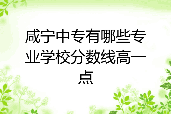咸宁中专有哪些专业学校分数线高一点