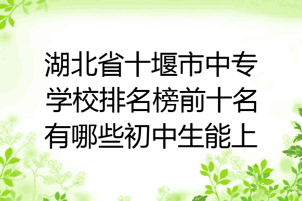 湖北省十堰市中专学校排名榜前十名有哪些初中生能上