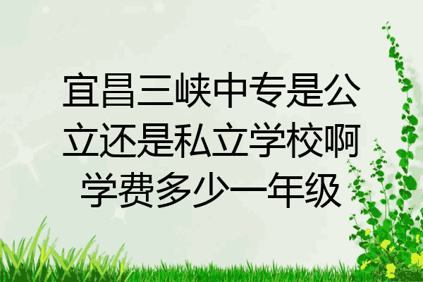 宜昌三峡中专是公立还是私立学校啊学费多少一年级