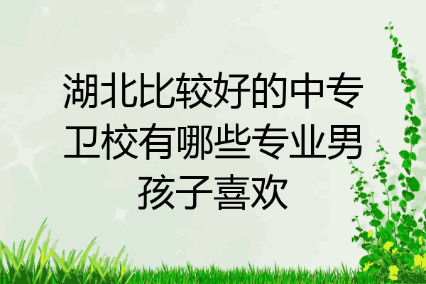 湖北比较好的中专卫校有哪些专业男孩子喜欢