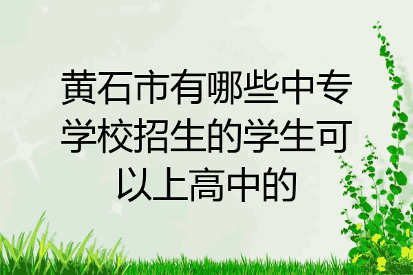 黄石市有哪些中专学校招生的学生可以上高中的