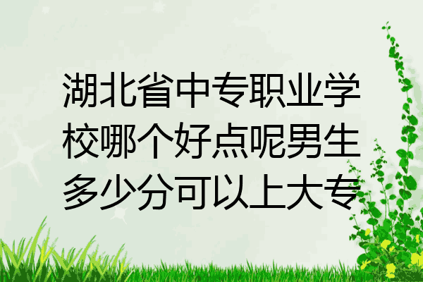 湖北省中专职业学校哪个好点呢男生多少分可以上大专