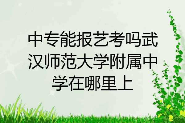 中专能报艺考吗武汉师范大学附属中学在哪里上
