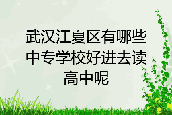 武汉江夏区有哪些中专学校好进去读高中呢