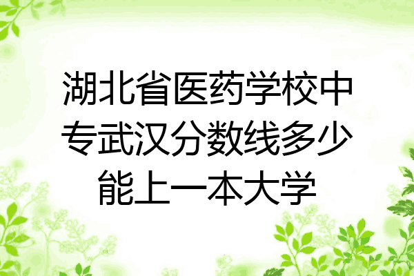 湖北省医药学校中专武汉分数线多少能上一本大学