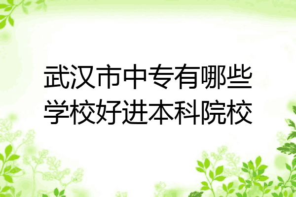 武汉市中专有哪些学校好进本科院校