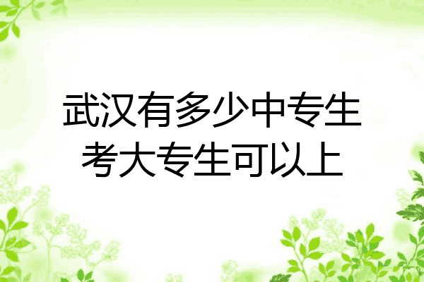 武汉有多少中专生考大专生可以上