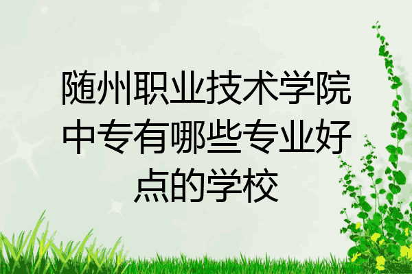 随州职业技术学院中专有哪些专业好点的学校
