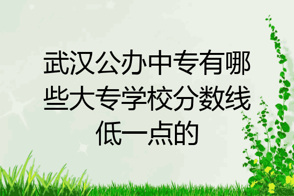 武汉公办中专有哪些大专学校分数线低一点的