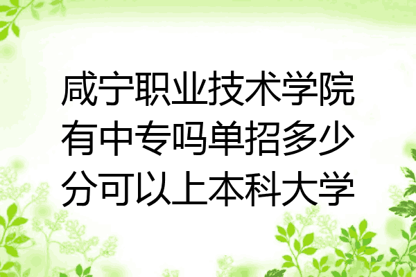 咸宁职业技术学院有中专吗单招多少分可以上本科大学