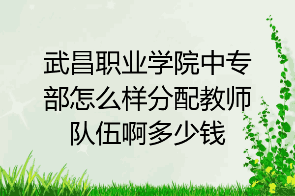武昌职业学院中专部怎么样分配教师队伍啊多少钱