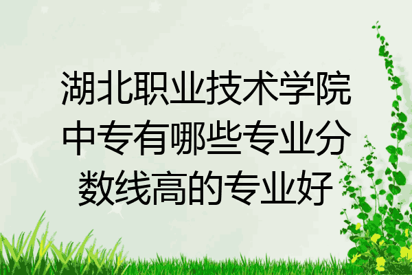 湖北职业技术学院中专有哪些专业分数线高的专业好