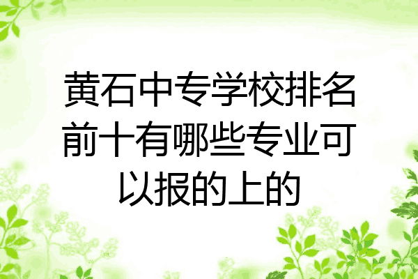 黄石中专学校排名前十有哪些专业可以报的上的