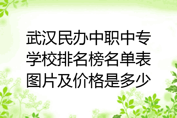 武汉民办中职中专学校排名榜名单表图片及价格是多少