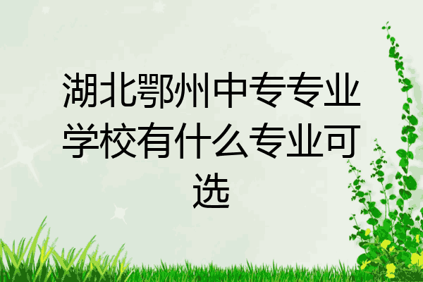 湖北鄂州中专专业学校有什么专业可选